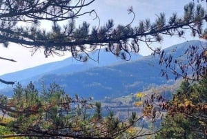 Au départ de Belgrade : Zlatibor, Drvengrad et tour en télécabine