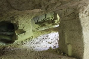 Desde Novi Sad: Excursión a Sremski Karlovci y al Monasterio de Krusedol