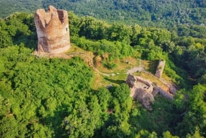 Desde Novi Sad: Excursión a Sremski Karlovci y al Monasterio de Krusedol