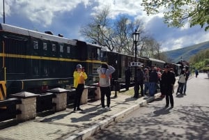 Da Zlatibor/Užice: Mokra Gora e il Parco Nazionale di Tara