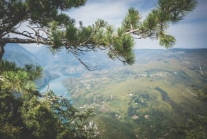 Fra Zlatibor/Užice: Mokra Gora og Tara nasjonalpark