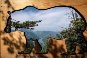 Vanuit Zlatibor/Užice: Nationaal park Mokra Gora & Tara