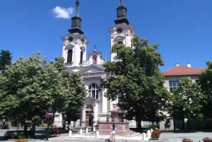 Full day wine &honey tour - Novi Sad and Sremski Karlovci