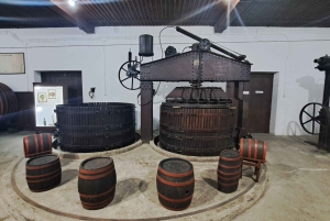 HISTORIA VIN & ROYALTY (Avala mountain - Topola - Oplenac)