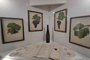 HISTORIA VIN & ROYALTY (Avala mountain - Topola - Oplenac)