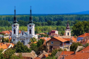 Visita compartida Novi Sad y Sremski Karlovci