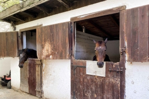 Privado Novi Sad, Sremski Karlovci y Casa del Granjero