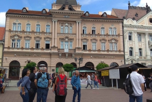 Privado Novi Sad, Sremski Karlovci y Casa del Granjero