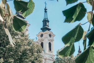 Privado Novi Sad, Sremski Karlovci y Casa del Granjero