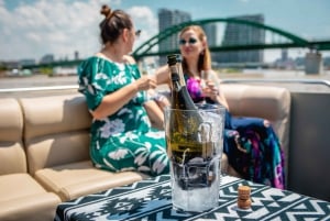 Belgrade: Private VIP 2-hour Sightseeing Cruise