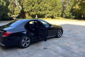 Serbia: Prywatny transfer lotniskowy i usługi szoferskie