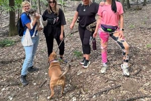 Circuit de chasse à la truffe, Serbie