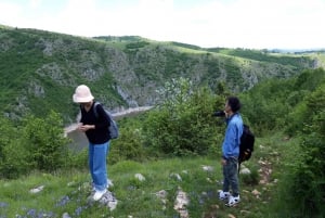 Uvac Naturreservat: Båttur och vandring till utsiktsplats