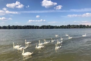 Your Own Belgrade: Private Sightseeing Tour & Hidden Gems