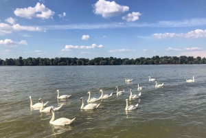 Your Own Belgrade: Private Sightseeing Tour & Hidden Gems