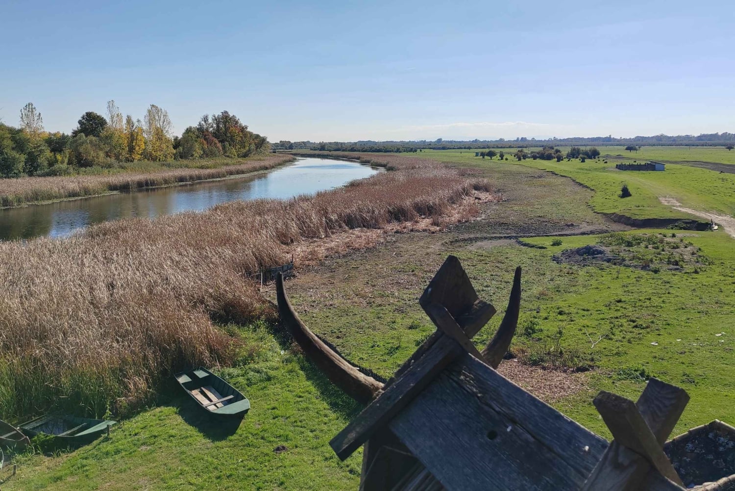 Safaritur till Zasavica