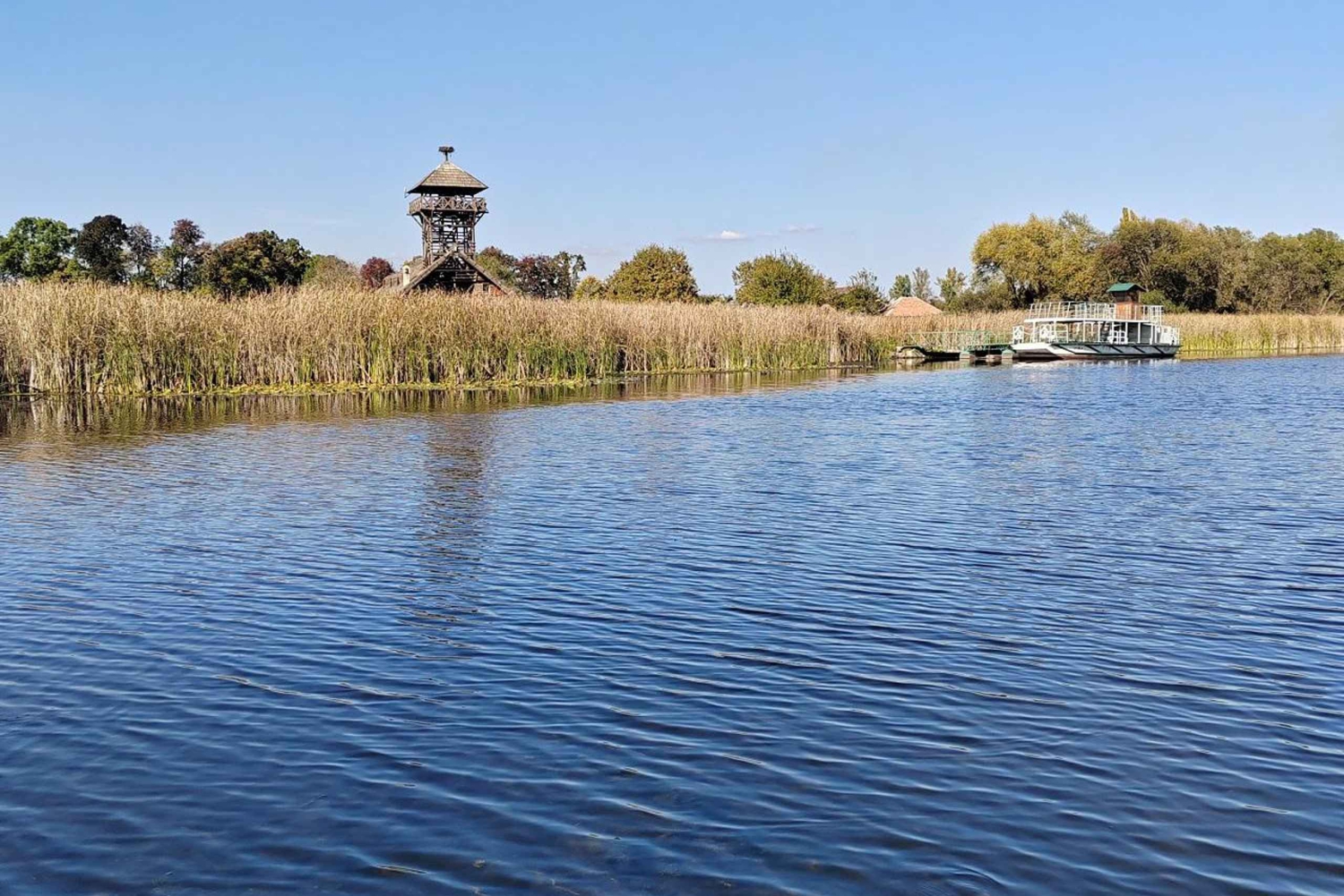 Safaritur till Zasavica