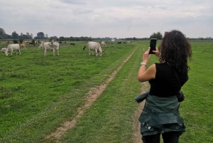 Safaritur till Zasavica