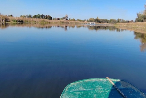 Safaritur till Zasavica