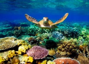 Experience Belize main attraction and activities