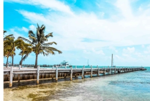 Ambergris Caye: Coastal Restaurants and Lounges Tour