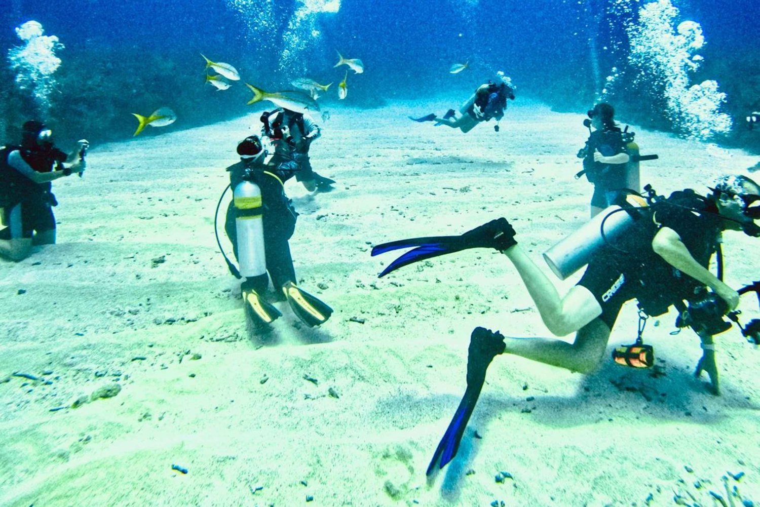 Ambergris Caye: Discover Scuba Diving Experience