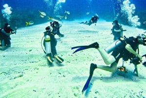 Cayo Ambergris: Descubre la experiencia del submarinismo