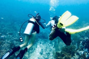 Cayo Ambergris: Descubre la experiencia del submarinismo