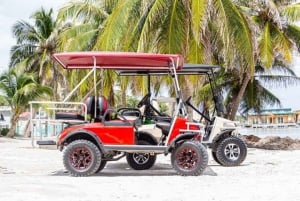 Ambergris Caye: Golf Cart Rental with Roadside Assistance