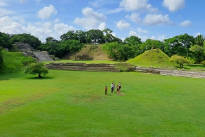 Belice: tour del patrimonio de Altún Ha desde Ciudad de Belice