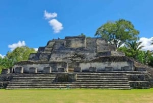 Belize: Altun Ha Tour 'Water of the Rock'