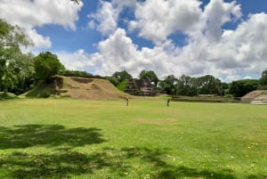 Belize City: Altun Ha Mayan Ruins Tour with Transportation