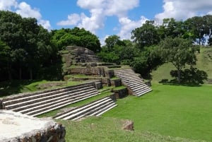 Belize City: Altun Ha Mayan Ruins Tour with Transportation