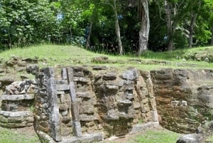 Belize City: Altun Ha Mayan Ruins Tour with Transportation