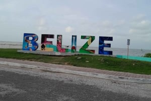 Belize City: Altun Ha Mayan Ruins Tour with Transportation