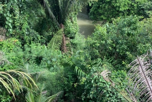 Belize City: Cave Tubing & Zipline Adventure Tour