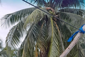 Belize City: Tour with Rum Tasting and Beach Stop Option