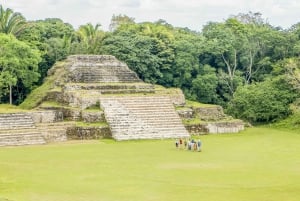 Best tours in Belize City