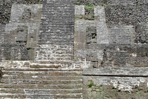 Ciudad de Belice: Ruinas mayas de Lamanai y safari en barco por el río con almuerzo