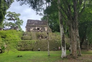 Belize City: Tikal National Park Private Tour with Lunch