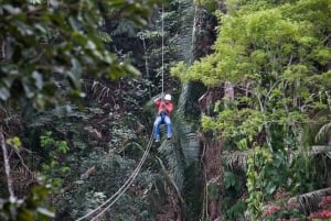 Belize: Extreme Waterfall Rappelling & Zipline Combo