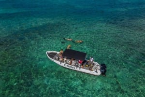 Belize Hol Chan and Shark Ray Alley Snorkeling Tour