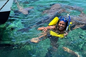 Belize Hol Chan and Shark Ray Alley Snorkeling Tour