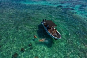 Belize Hol Chan and Shark Ray Alley Snorkeling Tour