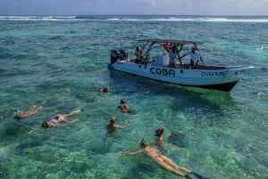 Belize Hol Chan and Shark Ray Alley Snorkeling Tour