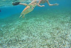 Belize: Hol Chan Snorkel Adventure, the Best Marine Reserve