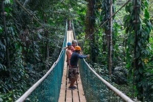 Belize: Jungle Canopy Zipline & Waterfall Rappelling