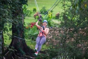 Belize: Jungle Canopy Zipline & Waterfall Rappelling