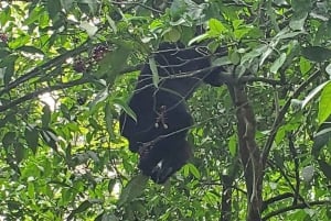 Belize: Lamanai Archaeological Reserve & Cave Tubing Tour