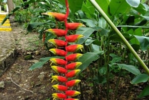 Belize: Lamanai Archaeological Reserve & Cave Tubing Tour